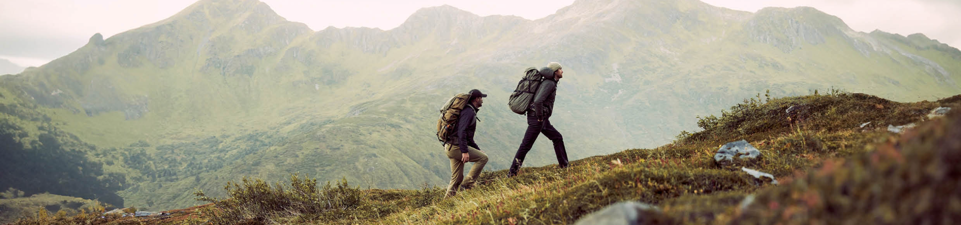 collection-banner-image